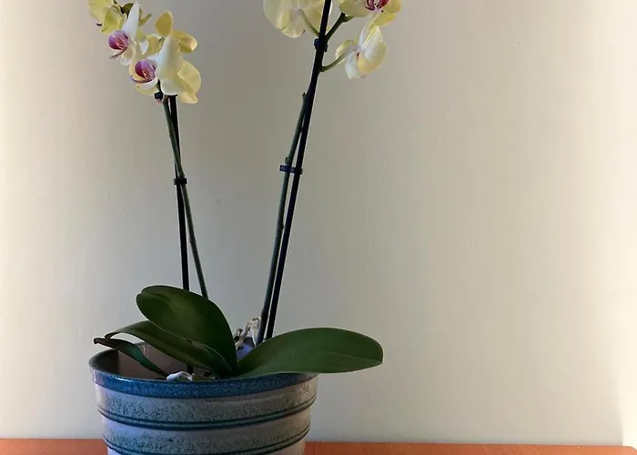 Interno Quindici * Turín